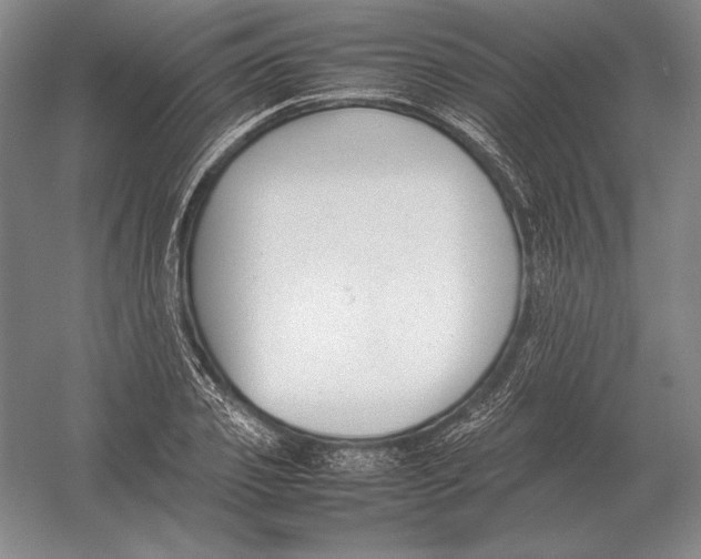 X0000054390933200508270030