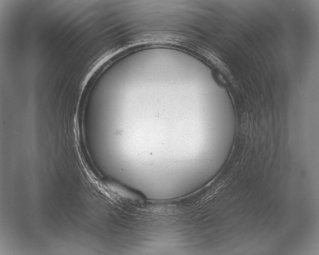 X0000054390936200508270030