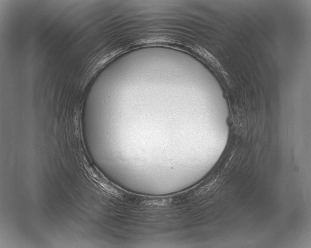 X0000054390937200508270030