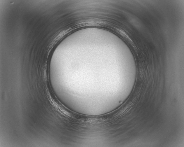 X0000054390938200508270030