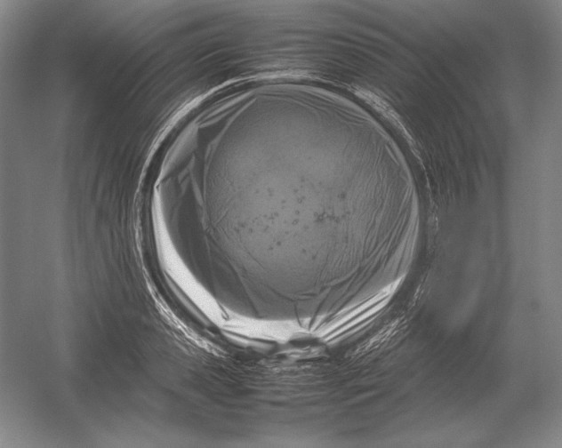 X0000054390941200508270030