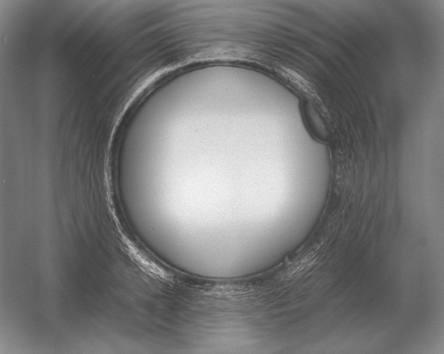 X0000054390942200508270030