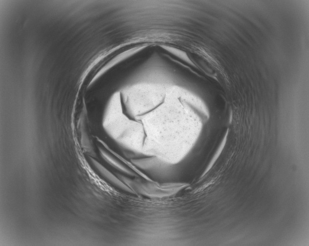 X0000054390944200508270030