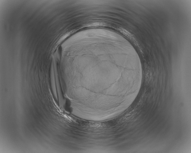 X0000054390945200508270030