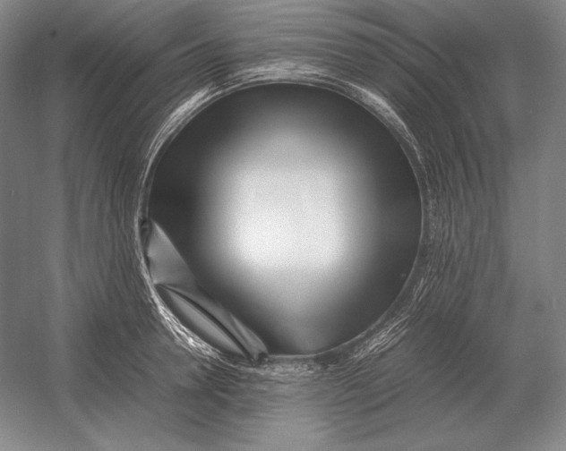 X0000054390946200508270030