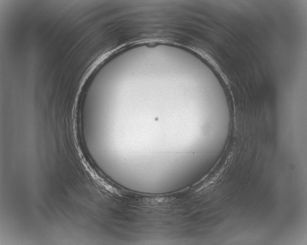 X0000054390949200508270030