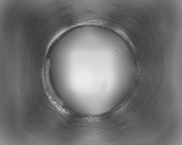 X0000054390952200508270030
