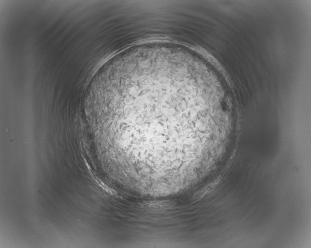 X0000054390953200508270030