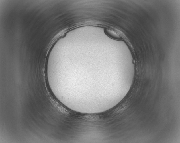 X0000054390954200508270030