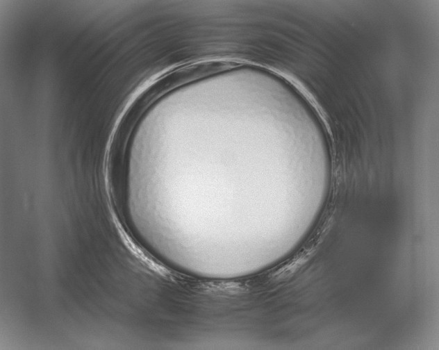 X0000054390957200508270030