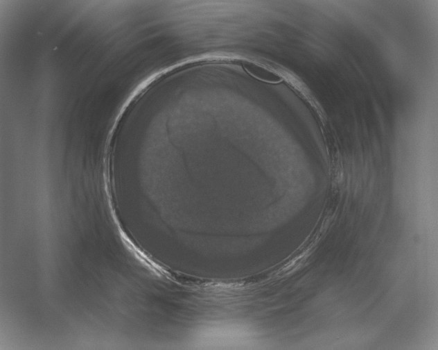 X0000054390958200508270030