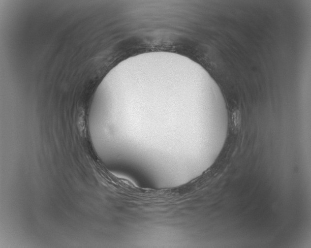 X0000054390963200508270030