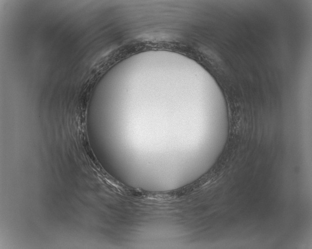 X0000054390966200508270029