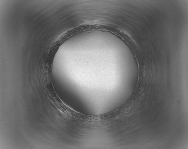 X0000054390968200508270029