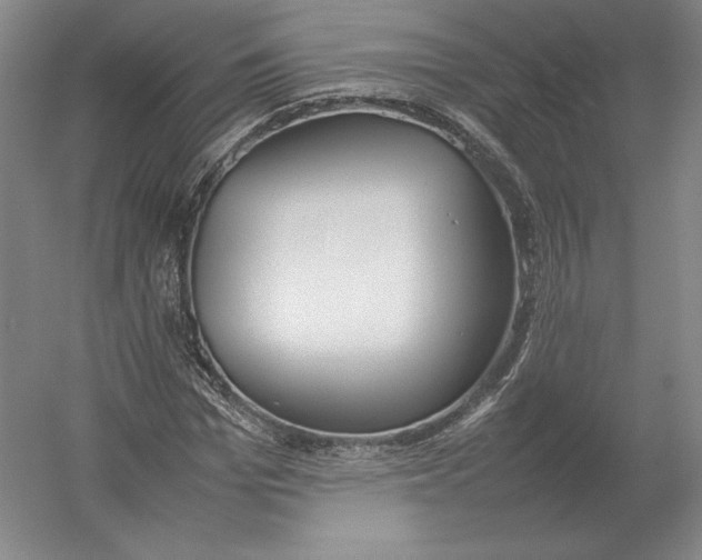X0000054390969200508270029