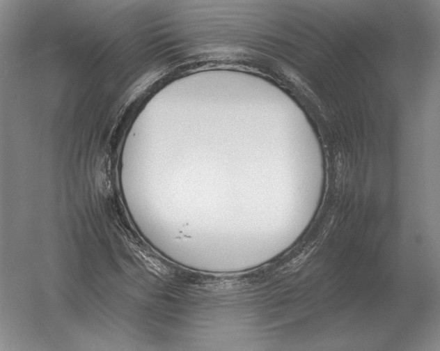 X0000054390970200508270029