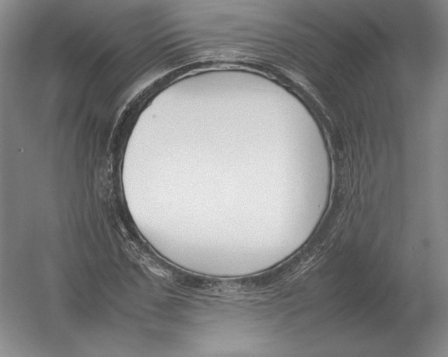 X0000054390971200508270029