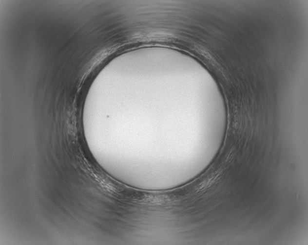 X0000054390978200508270029