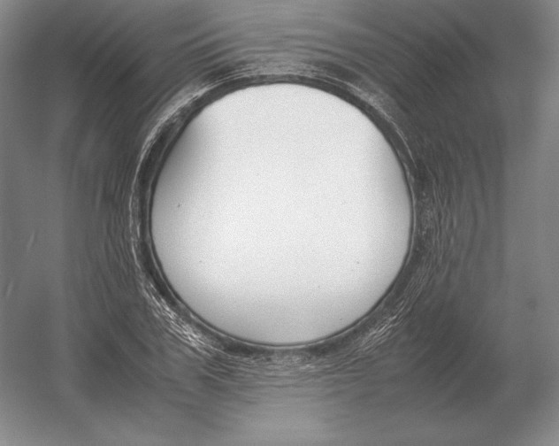 X0000054390979200508270029