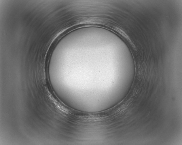 X0000054390980200508270029