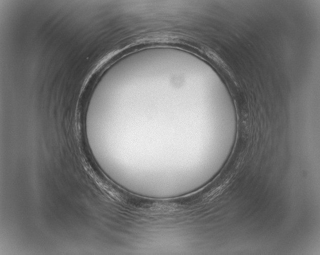 X0000054390981200508270029