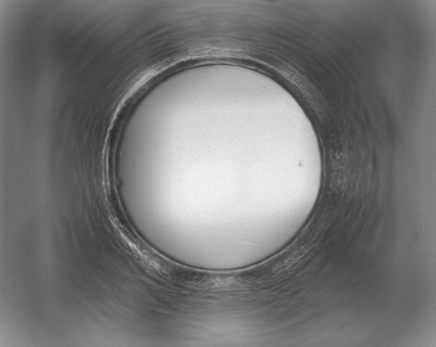 X0000054390982200508270029