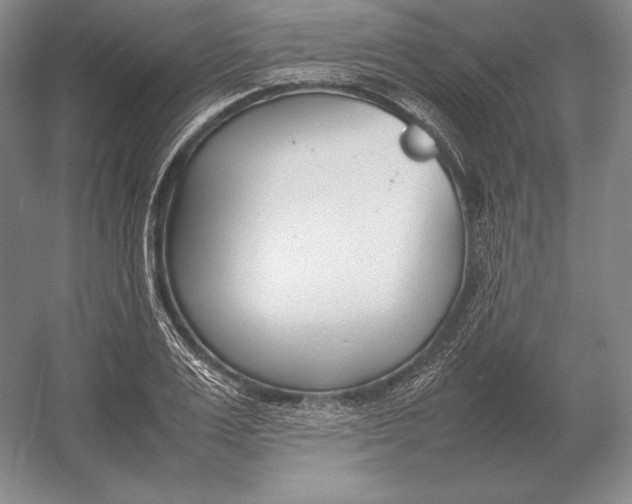 X0000054390983200508270029