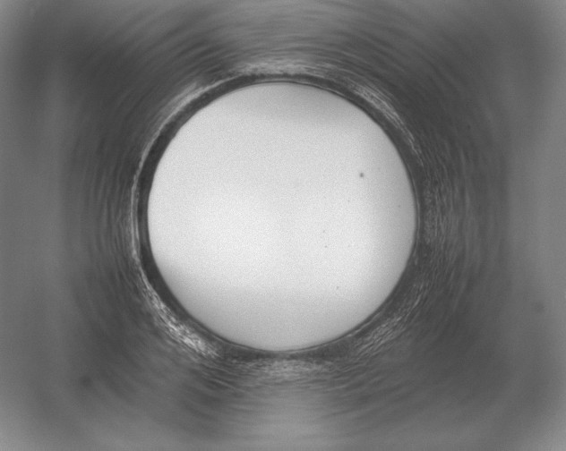 X0000054390984200508270029