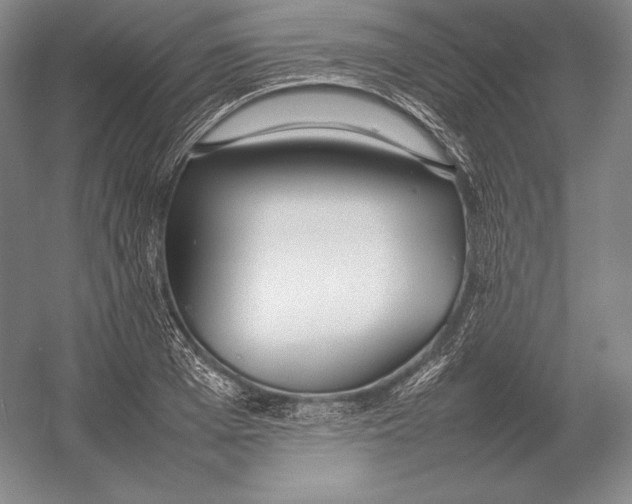 X0000054390985200508270029