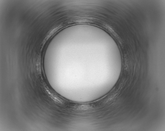 X0000054390986200508270029