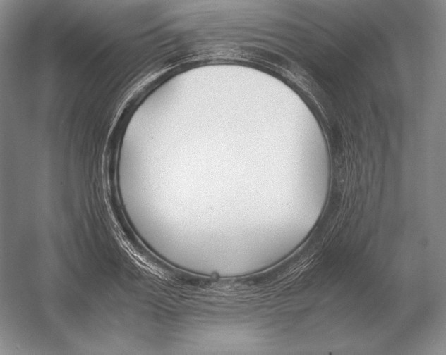 X0000054390987200508270029