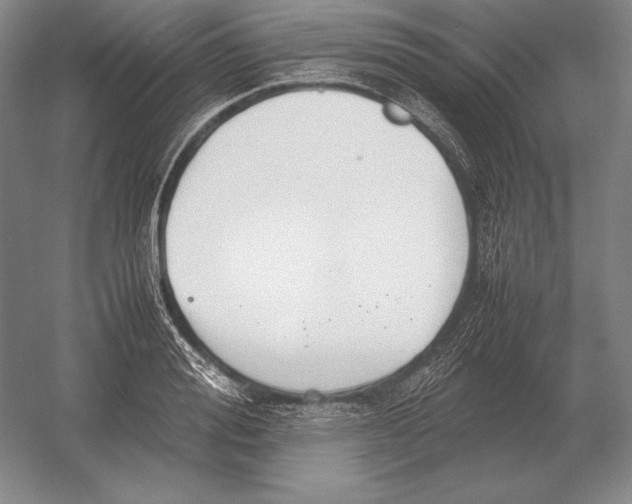 X0000054390988200508270029