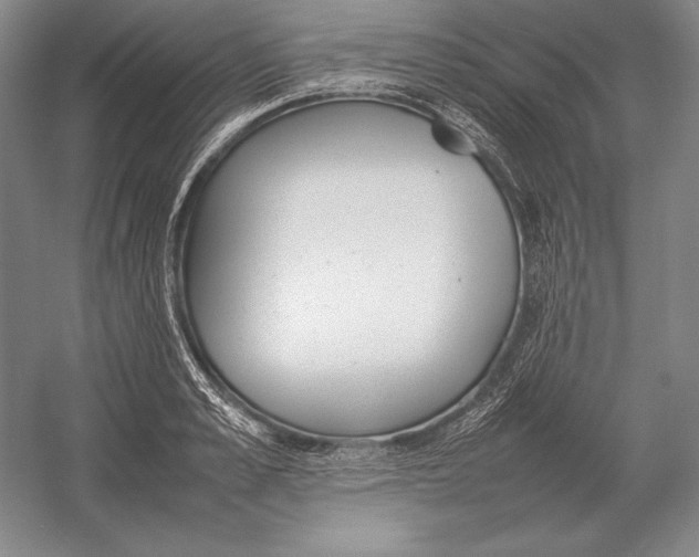 X0000054390989200508270029
