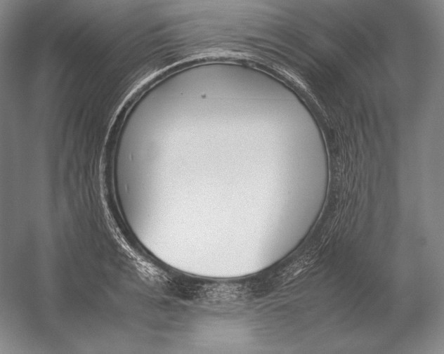 X0000054390991200508270029