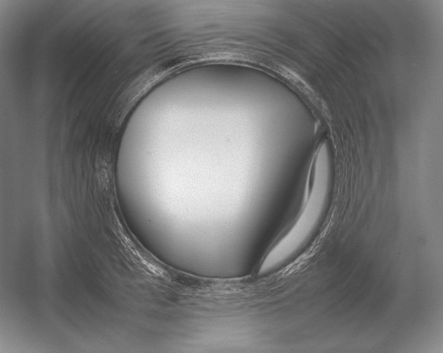 X0000054390993200508270029