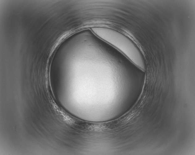 X0000054390994200508270029