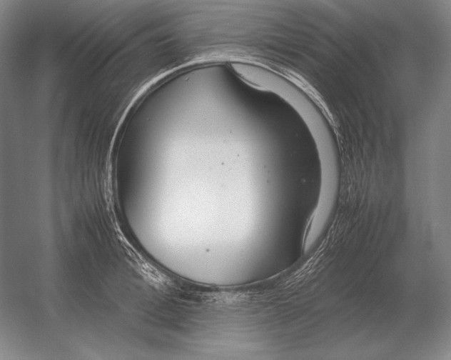 X0000054390996200508270029