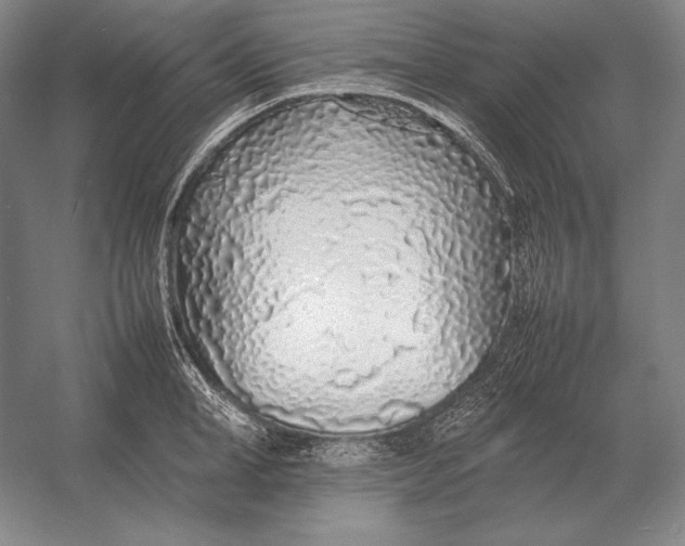 X0000054390998200508270029