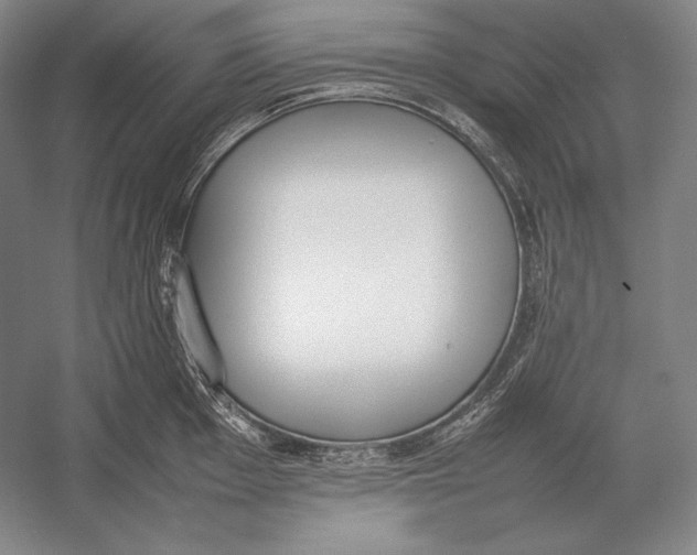 X0000054391001200508270029