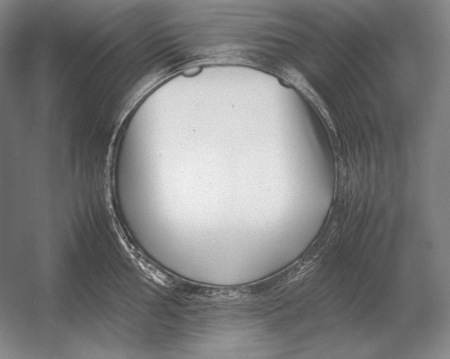 X0000054391002200508270029