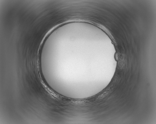 X0000054391004200508270029