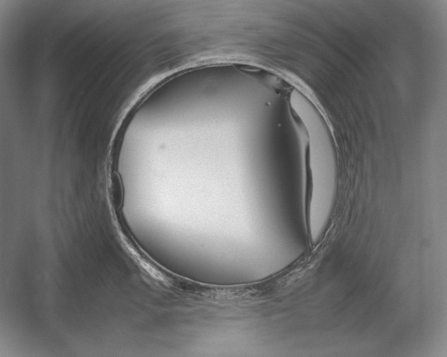 X0000054391005200508270029