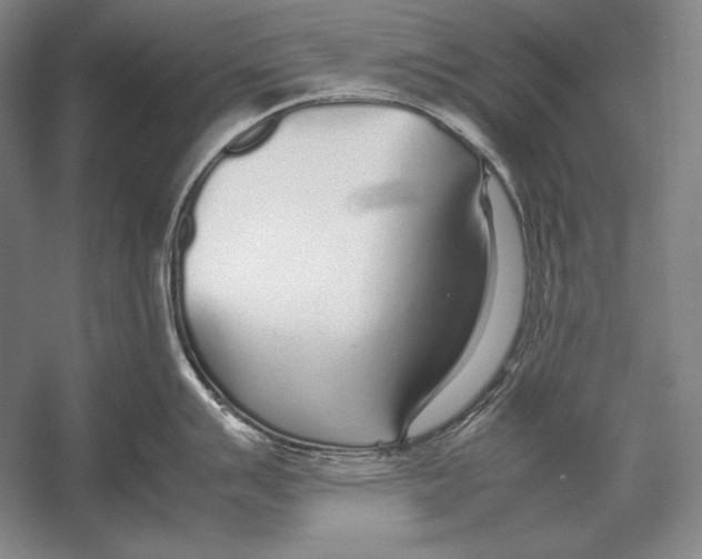 X0000054391007200508270029