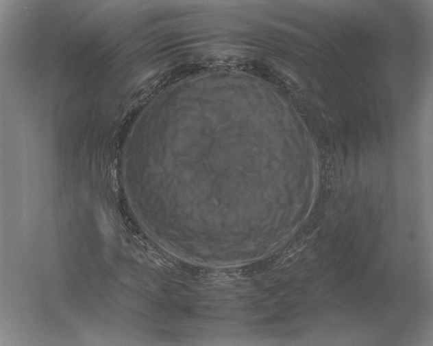 X0000054391013200508270028