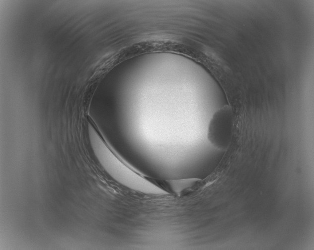 X0000054391014200508270028