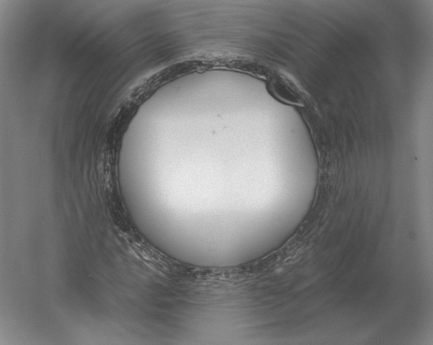 X0000054391016200508270028
