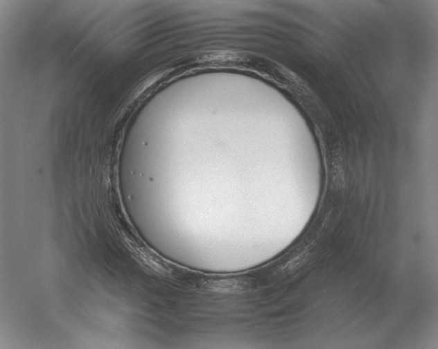 X0000054391017200508270028