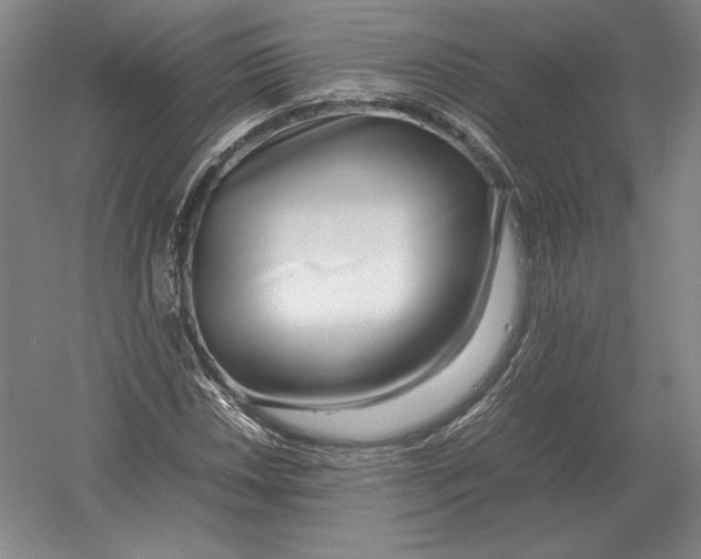 X0000054391018200508270028