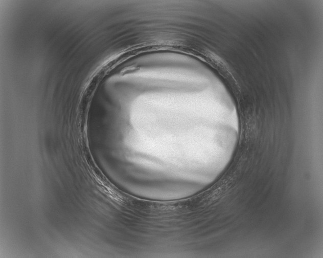 X0000054391019200508270028