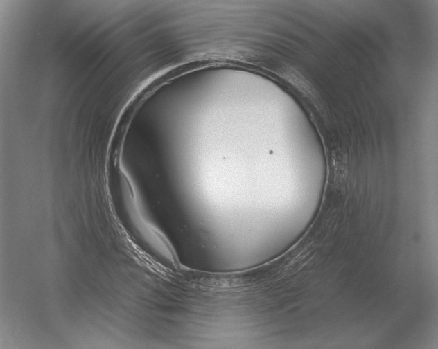 X0000054391020200508270028